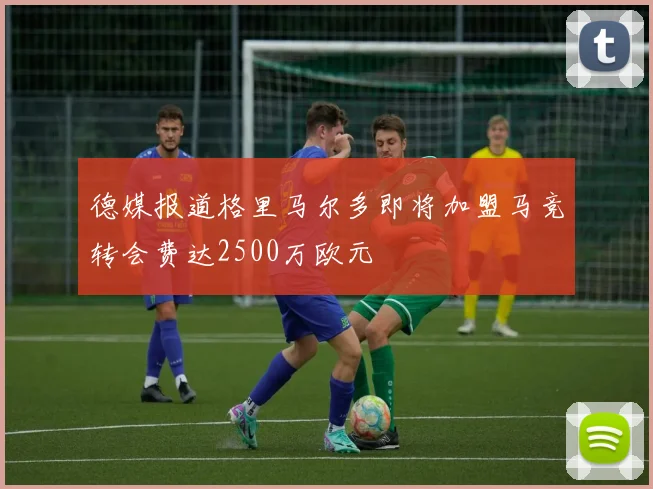 德媒报道格里马尔多即将加盟马竞转会费达2500万欧元