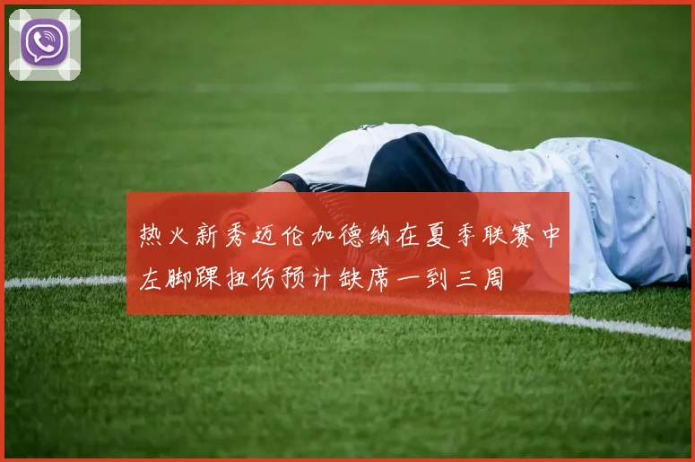 热火新秀迈伦加德纳在夏季联赛中左脚踝扭伤预计缺席一到三周