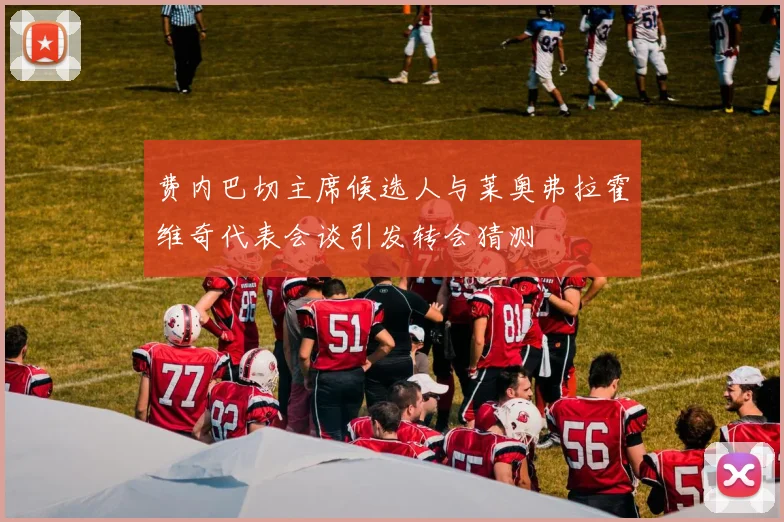 费内巴切主席候选人与莱奥弗拉霍维奇代表会谈引发转会猜测